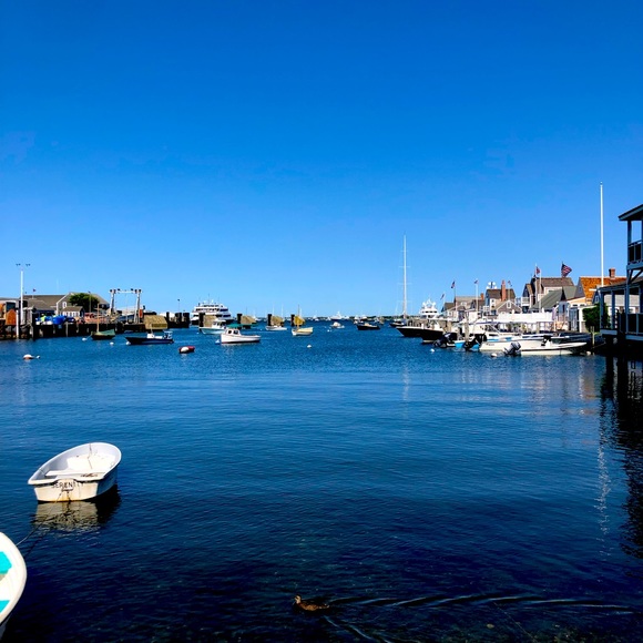 Meet your Posher, Kristina - Picture 1 of 1